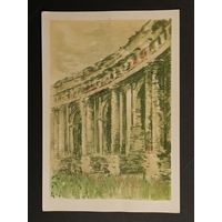 Медведев Мядзведзвеў Беларусь 1957