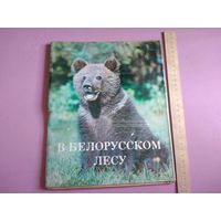 В Белорусском лесу