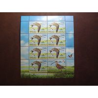 Беларусь 2011 г.Птушка года.Вялiкi Кулён (Большой кроншнеп)./п-т/