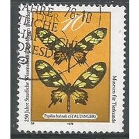 ГДР. Бабочка. 1978г. Mi#2370.