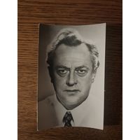 Артисты Стржельчик