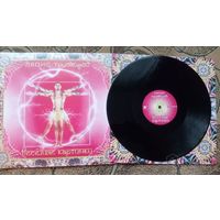 Виниловая пластинка