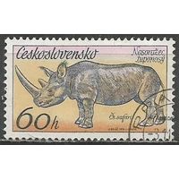 Чехословакия. Парк Двур Кралове. Носорог. 1976г. Mi#2348.