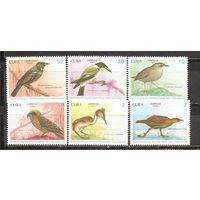 ФФ1 Куба 1990 Птицы