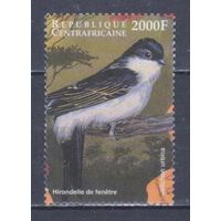 [441] ЦАР 1999. Фауна.Птицы.Ласточка. Высокий номинал.Гашеная марка из блока. Кат.гаш.7,5 е.