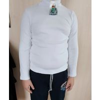 Водолазка для девочки (унисекс), 4-5 лет, рост 110