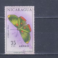 [1117] Никарагуа 1967. Фауна.Бабочка.35 с. Гашеная марка.