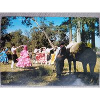 Этнография. Бразилия, Рио Гранде До Сул. Традиционный танец региона