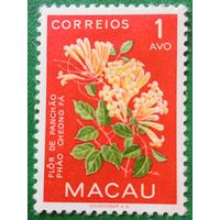 Макао. Флора. Phao Cheong Fa