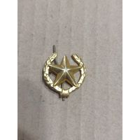 Эмблема общевойсковая ВС РФ ( золоченая)