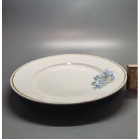 Тарелка СССР.