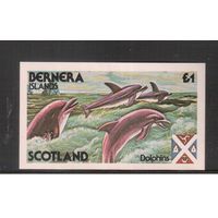Бернера(Шотландские ос-ва)-1982 , ** , Морская Фауна,Дельфины