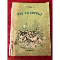 Е. Чарушин. Что за зверь? 1950 год
