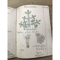 Тетрадь 1939-40г.