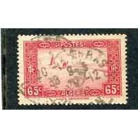 Французский Алжир. Пустыня Сахара. 65с