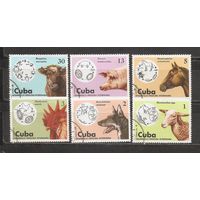 ФФ2 Куба 1975 Фауна гаш