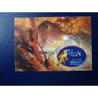 Календарик 2003 г.  Pegas.  Дайверский клуб.