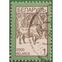Беларусь 2000. Фауна. Зубр
