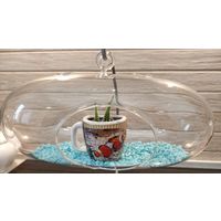 Кашпо стеклянное, - оригинальная форма