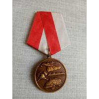 Медаль. За участие в тушении пожаров, ликвидации последствий аварий, катастроф и стихийных бедствий.