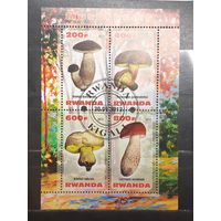 Руанда. 2013 год. Флора. Грибы. Блок (1005)
