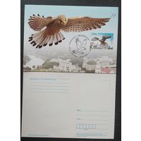Беларусь 2010 КМ птица года, сокол пустальга .