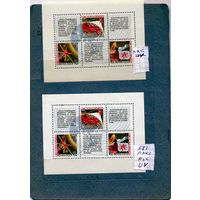 СССР, 1968,  ПОЧТ БЛОК "ОРБИТА" 2 блока 56( Заг)  бум ЛАК без УФ  и блок 56(1)  без лака, бум УФ