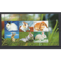 Малави 2011** Фауна Кролики