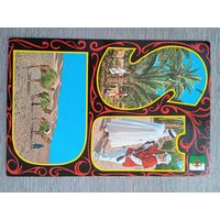 Этнография. Алжир, Юг