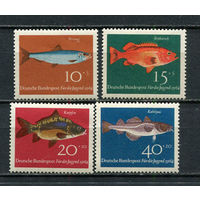 ФРГ - 1964 - Рыбки - [Mi. 412-415] - полная серия - 4 марки. MNH.  (Лот 58Jw)-T9P1