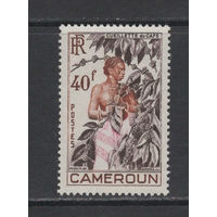 Французский Камерун 1954** Сбор кофе