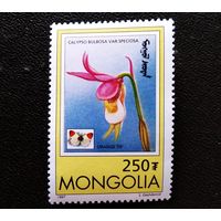 Марка Монголия 1997 год Цветы