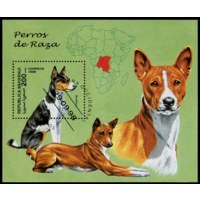 Фауна.Домашние животные.Собаки. Сахара 1998