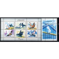 Азербайджан 2007. Фауна птицы. Голуби  лист+блок (263)