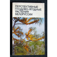 Перспективные плодово-ягодные растения Белоруссии.