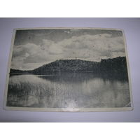 Открытка старинная до 1939 года Пейзажи Беларуси Зеленое озеро около Вильно Фото Ян Булгак. Состояние на фото. Чистая