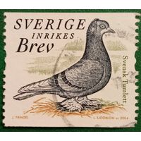 Швеция 2004. Голубь