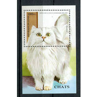 Гвинея - 1995 - Кошки - [Mi. bl. 492] - 1 блок. MNH.