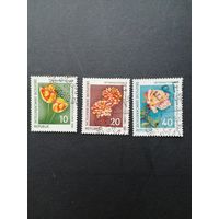 ГДР 1961 Полная серия марок "Интернациональная выставка садоводства (IGA)" (гашение без клея, с наклейками) Mi.854-856 каталог 11.00 евро