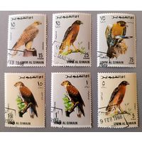 Орлы. ОАЭ, 1968