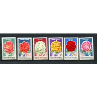 Румыния - 1970 - Розы - [Mi. 2868-2873] - полная серия - 6 марок. MNH.  (Лот 49JR)-T3P46
