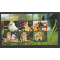 Малави 2011** Фауна Кролики