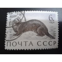 СССР 1971 калан