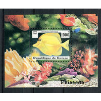 Гвинея - 1997 - Рыбки - [Mi. bl. 510] - 1 блок. MNH.