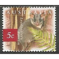 Австралия. Беличий кускус. 1996г. Mi#1575.