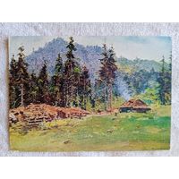 1955. Шишко. Полонина (Украинская ССР)