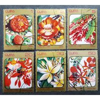 Марки Куба 1984 год Цветы