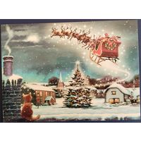 Санта и кот. Белорусь. 2022 г.