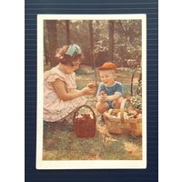 СССР 1957 ДМПК фото Становова. Грибники. Чистая.