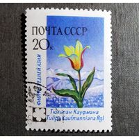 Марка СССР 1960 год Флора СССР